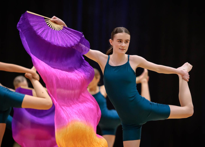 MALA viftevimpel MULTICOLOR Purple Fuchsia Orange