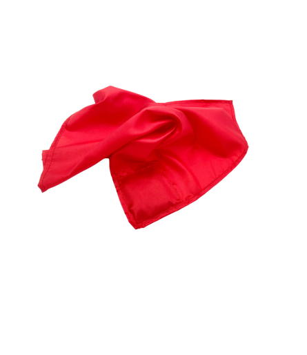 Rytmeflag til rytmisk gymnastik, herunder både holdgymnastik og individuel gymnastik, dans, børnerytmik, motorik, bevægelseslege, træning og opvisning. Gymnastik håndredskab med flot visuel effekt. Rytmeflaget laver smukke, bølgende bevægelser og er