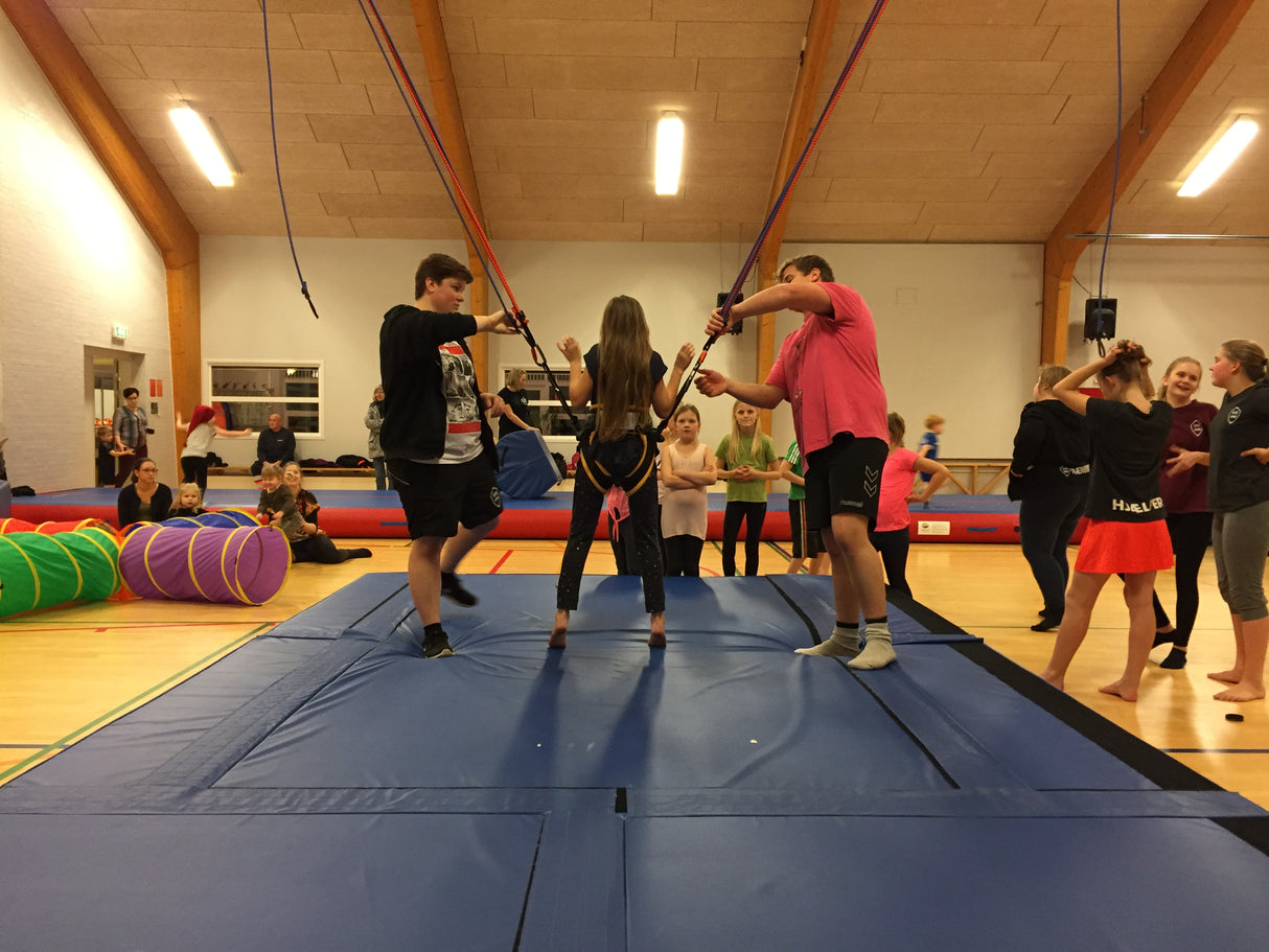 Flik Bungee system til spærmontage