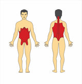 Fysisktræning af mave, ryg og core 17 GymCards