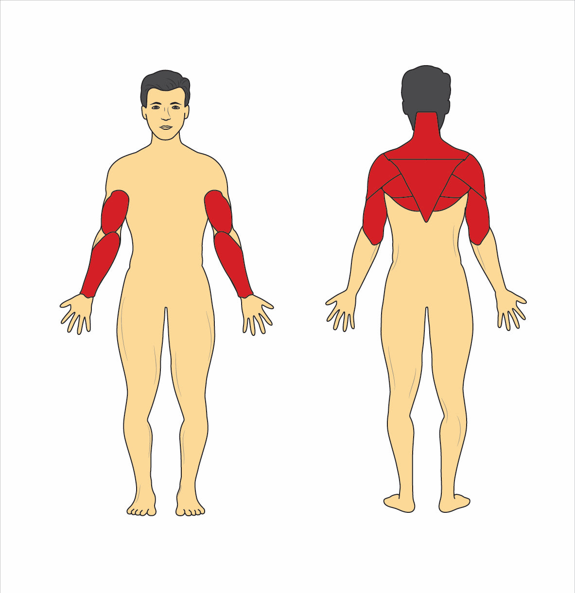 Fysisktræning af skuldre og arm 11 GymCards