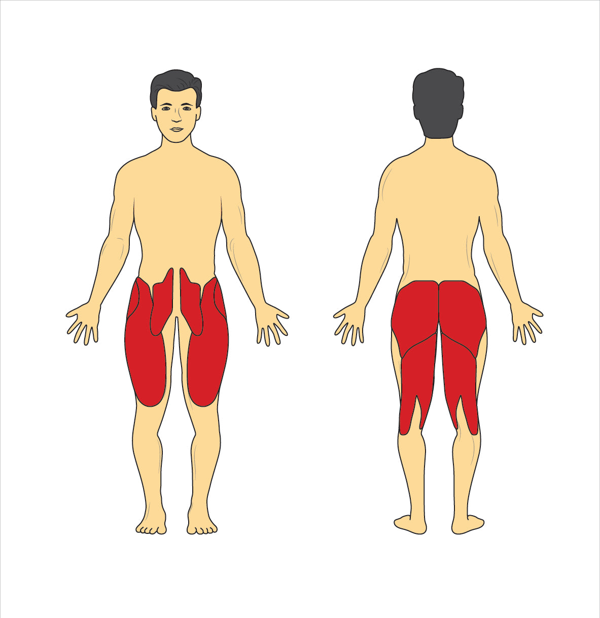 Fysisktræning af knæ og hofte 12 GymCards