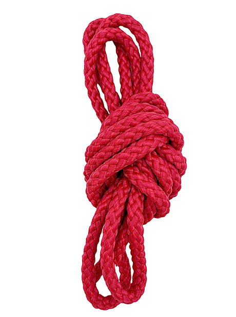 Rødt sjippetov fra Amaya til rytmisk gymnastik.
Super godt kvalitetsprodukt fra Amaya. Sjippetov til leg, træning og opvisning. Sjippetovet har en god tyngde, som giver god svingkraft til kast, spændende øvelser og koreografier.
Sjippetovet er 3 mete