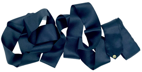 Amaya Vimpel til rytmisk gymnastik.

Amayas vimpel er det perfekte valg for rytmiske gymnaster, uanset om det er til træning eller opvisning.
Vimplerne er 6 meter lange og er lette nok til at bevæge sig elegant gennem luften, men har stadig tilstrækk